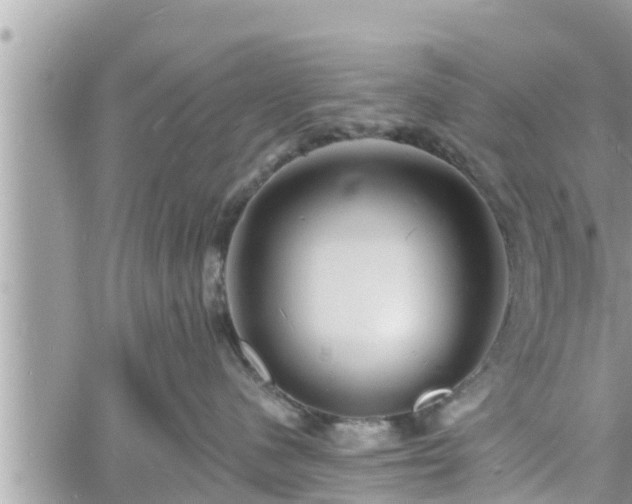 X0000060740480200511171102