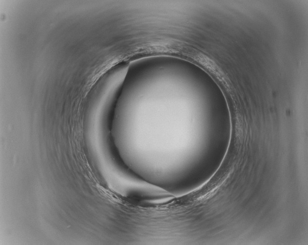 X0000060740481200511171101