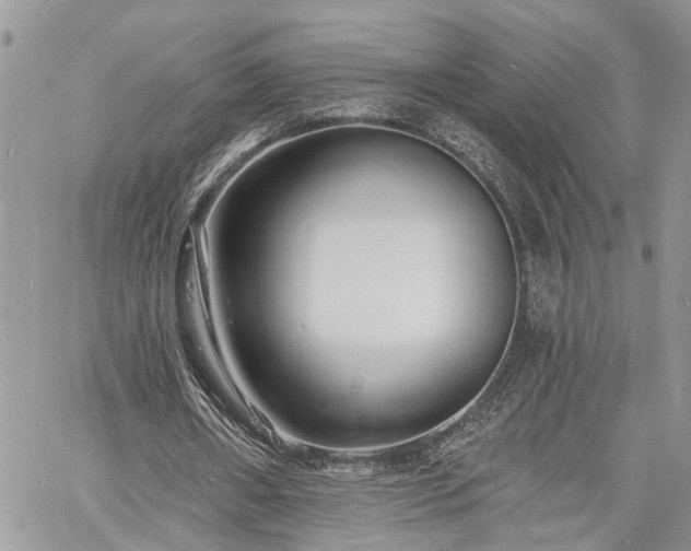 X0000060740482200511171101