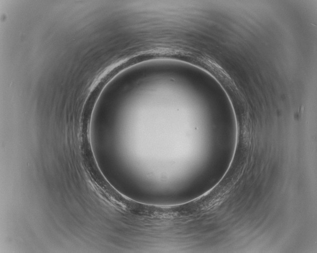 X0000060740484200511171101