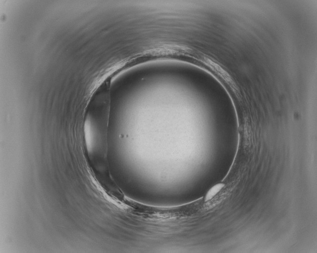 X0000060740485200511171101