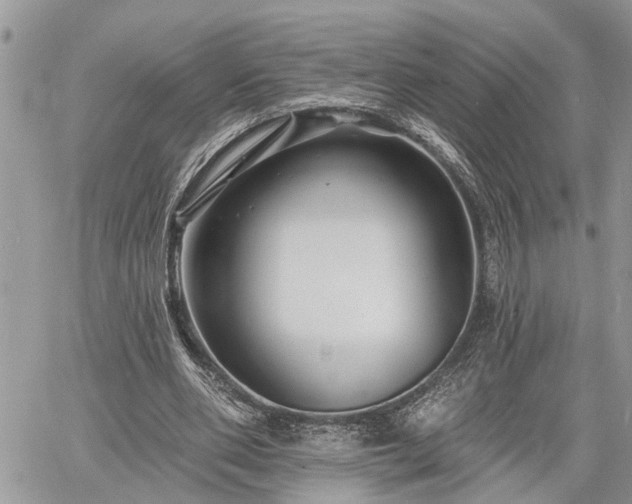 X0000060740486200511171101