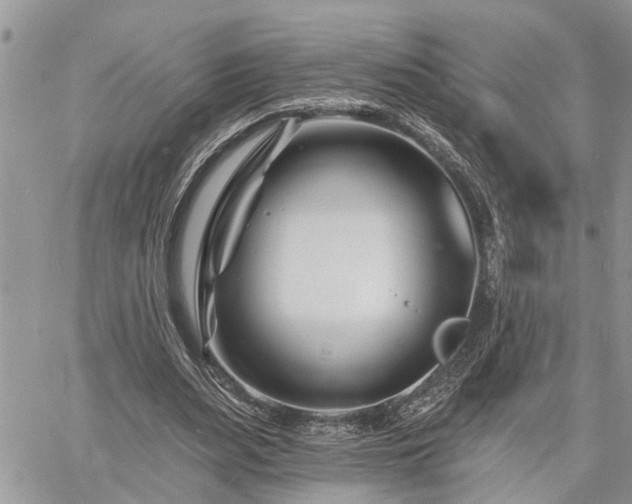 X0000060740487200511171101