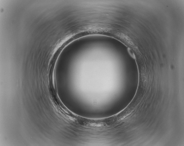 X0000060740488200511171101