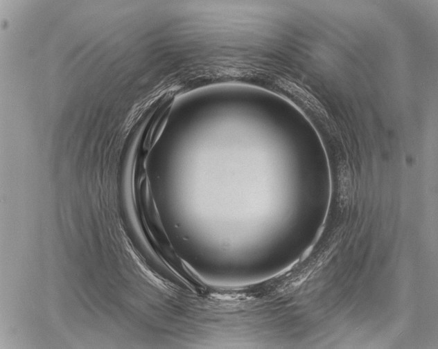 X0000060740489200511171101