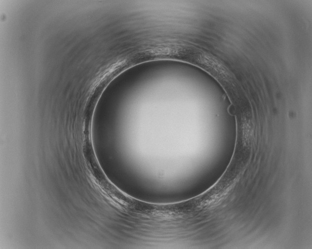 X0000060740490200511171101