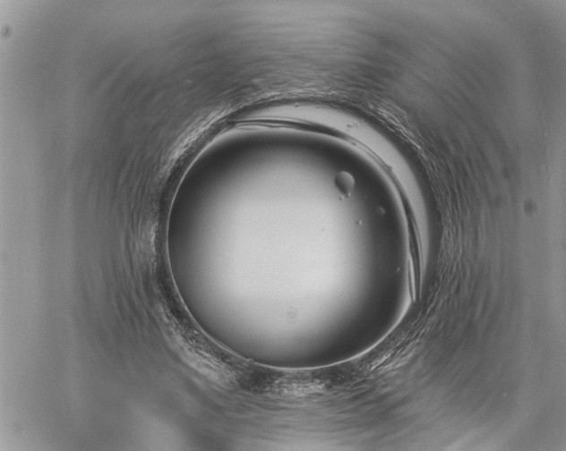 X0000060740491200511171101