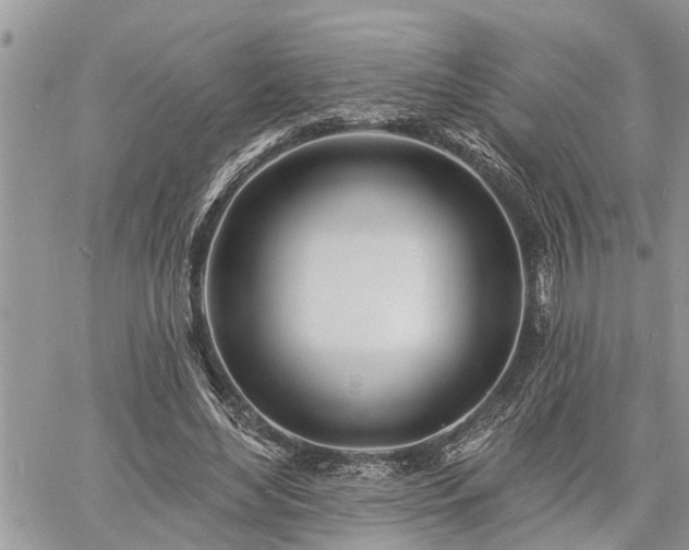 X0000060740492200511171101