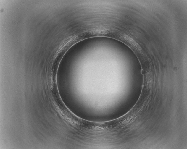 X0000060740494200511171101