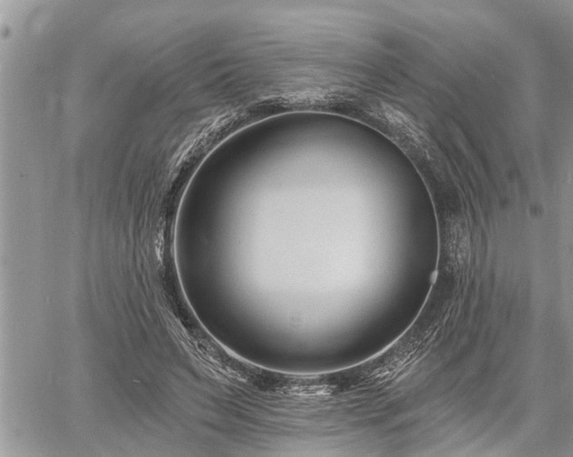 X0000060740495200511171101