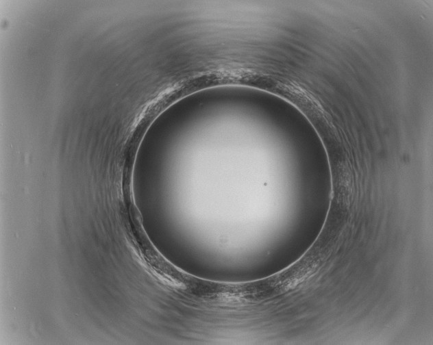 X0000060740496200511171101