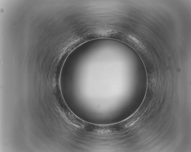 X0000060740500200511171101