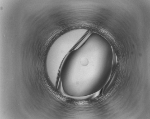 X0000060740501200511171101