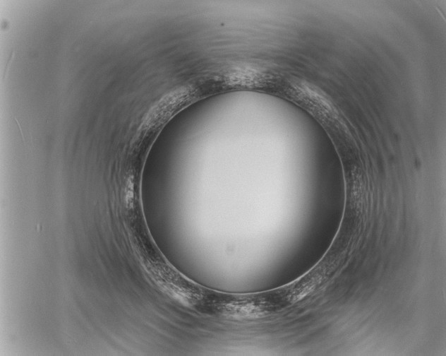 X0000060740502200511171101