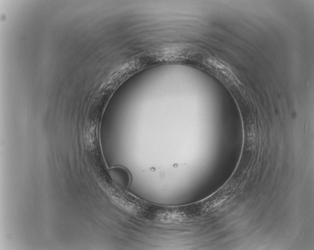 X0000060740503200511171100