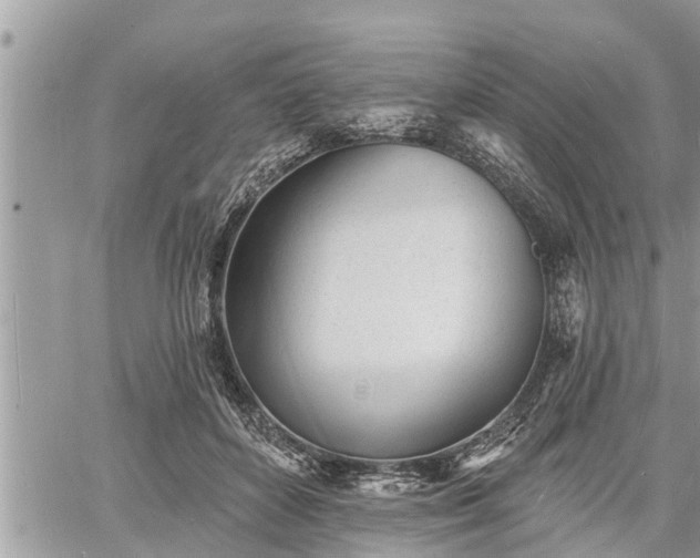 X0000060740504200511171100