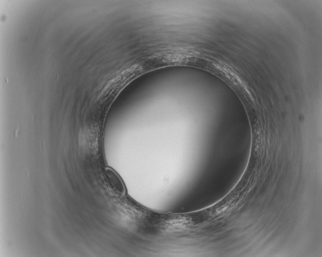 X0000060740505200511171100