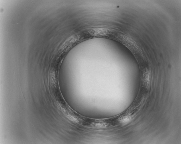 X0000060740506200511171100