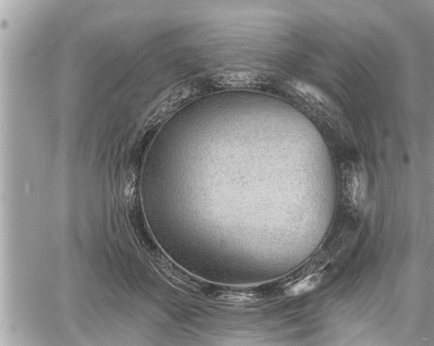 X0000060740507200511171100