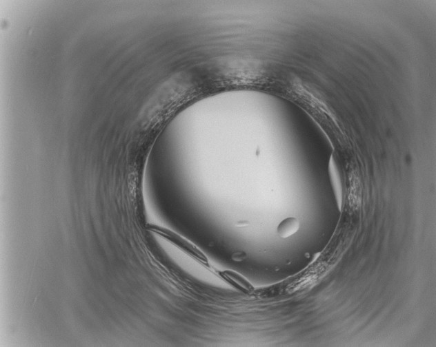 X0000060740509200511171100