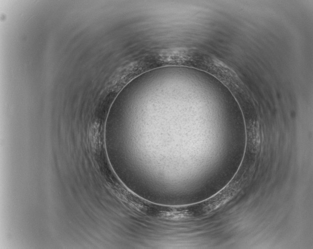 X0000060740511200511171100