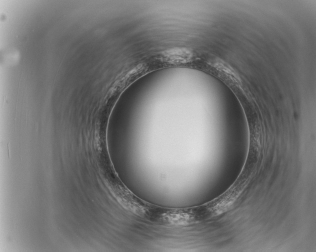 X0000060740512200511171100