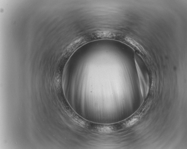 X0000060740513200511171100