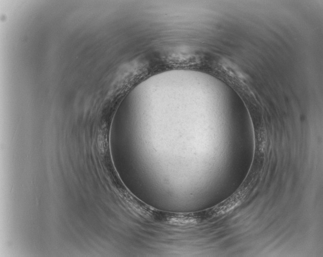 X0000060740515200511171100