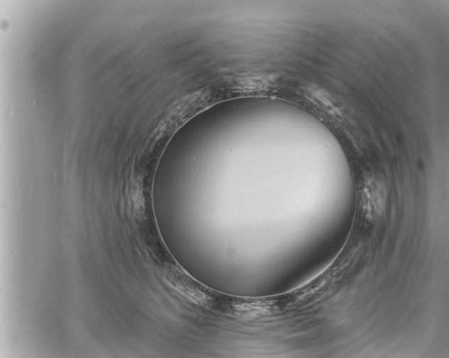 X0000060740516200511171100