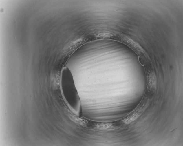 X0000060740517200511171100