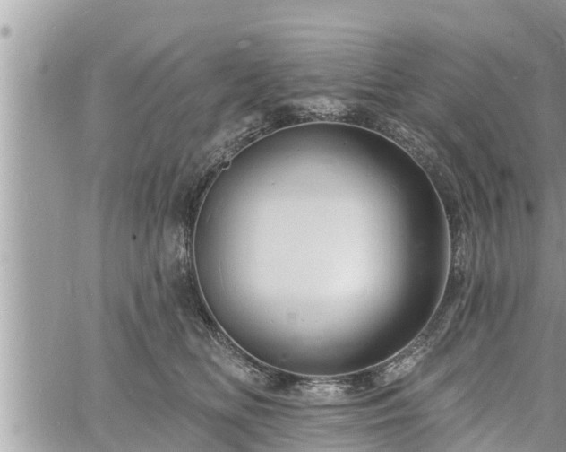 X0000060740518200511171100