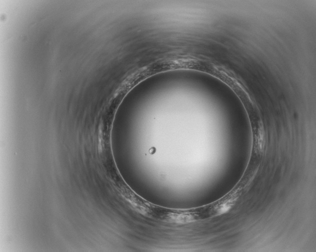 X0000060740520200511171100