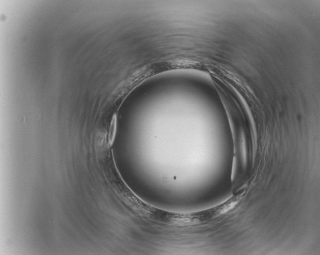 X0000060740521200511171100