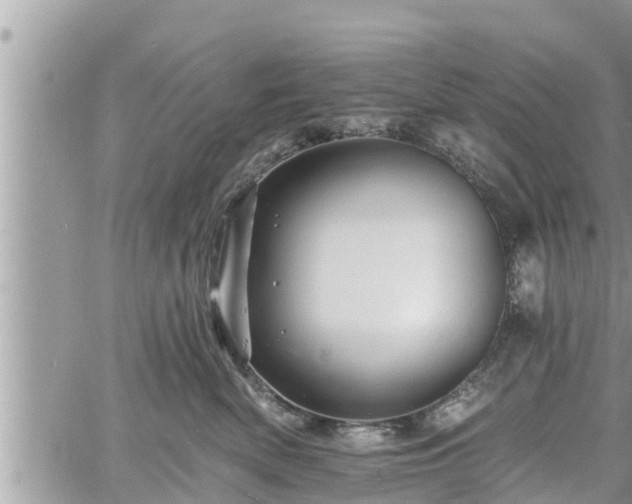 X0000060740522200511171100