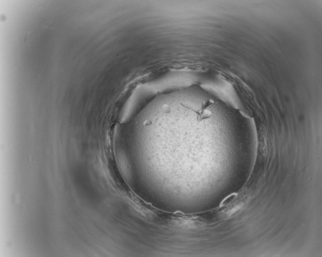 X0000060740523200511171100