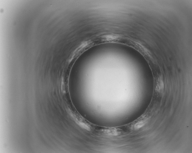 X0000060740524200511171100