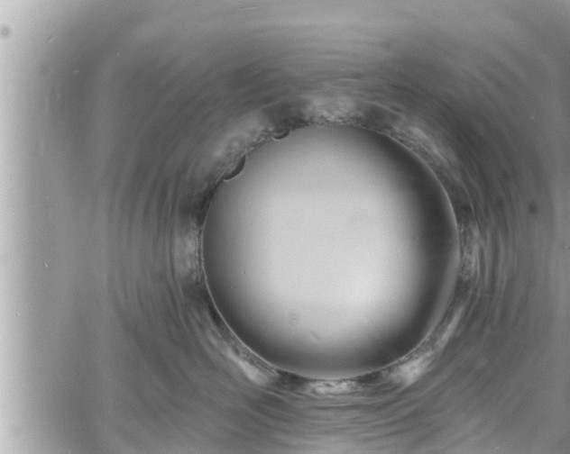 X0000060740526200511171100