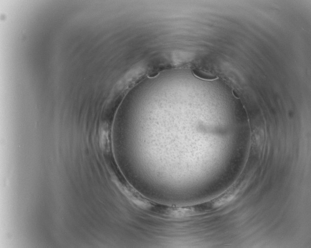 X0000060740527200511171100