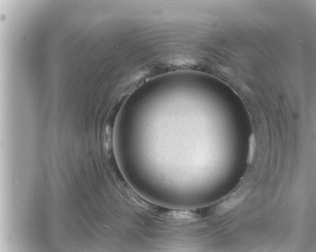 X0000060740528200511171100