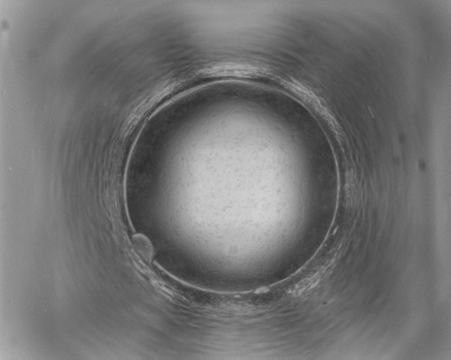 X0000060740529200511171059