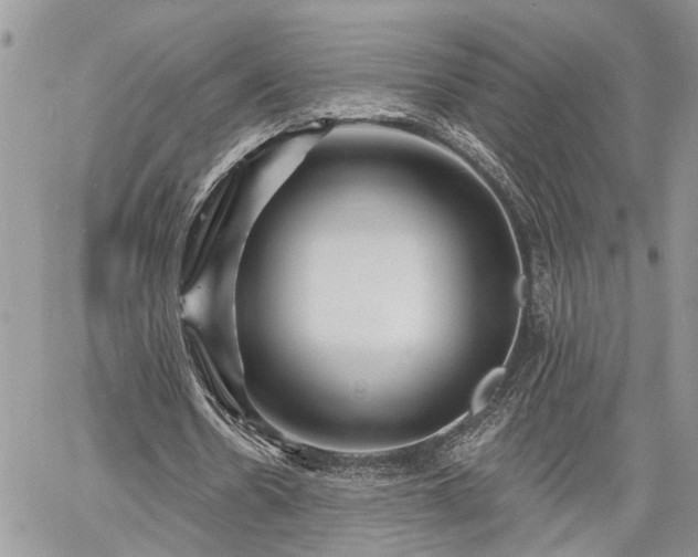 X0000060740530200511171059