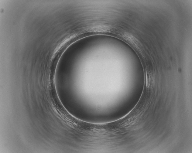 X0000060740531200511171059