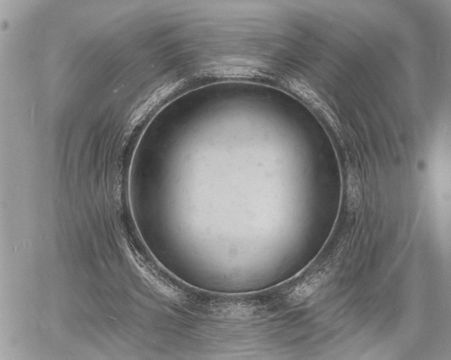 X0000060740533200511171059