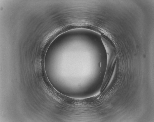 X0000060740535200511171059