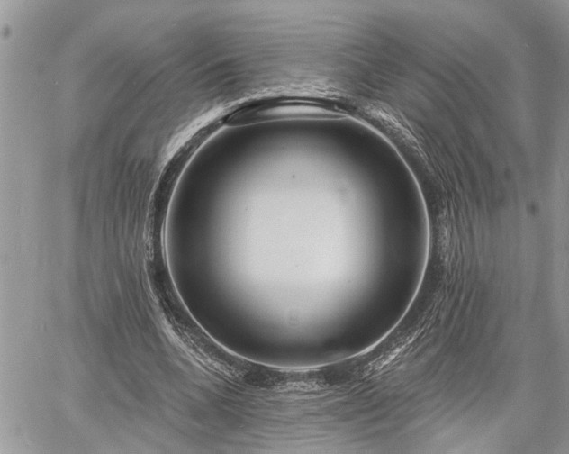 X0000060740536200511171059