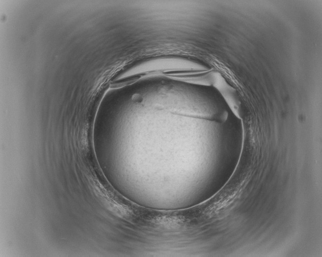 X0000060740537200511171059