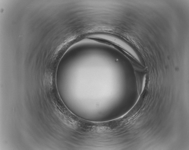 X0000060740539200511171059