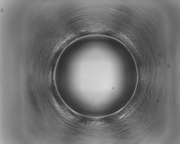 X0000060740542200511171059