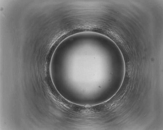 X0000060740544200511171100