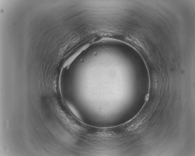 X0000060740545200511171100